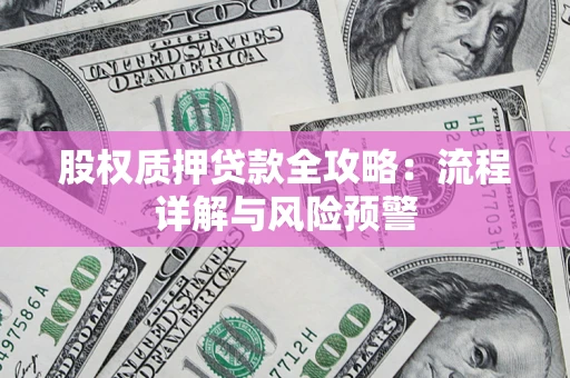北京股权质押贷款全攻略：流程详解与风险预警