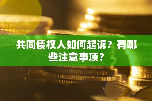 北京共同债权人如何起诉？有哪些注意事项？