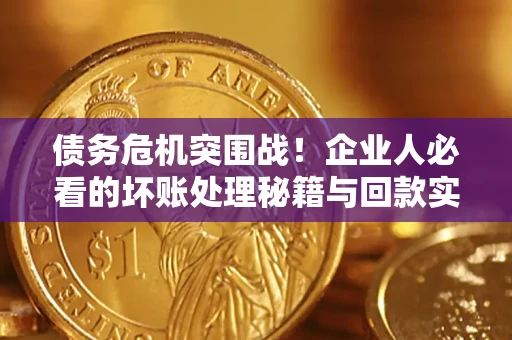 北京债务危机突围战！企业人必看的坏账处理秘籍与回款实战指南